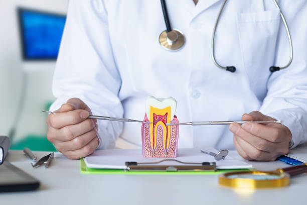Best Emergency Denture Repair in Golden Hills, CA